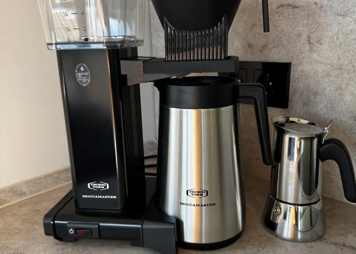 Freiraum * 뉴라이닝언