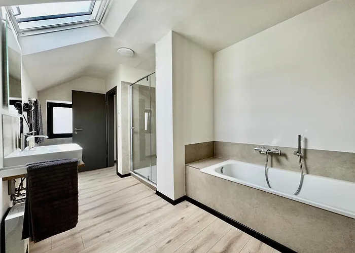 Freiraum 뉴라이닝언